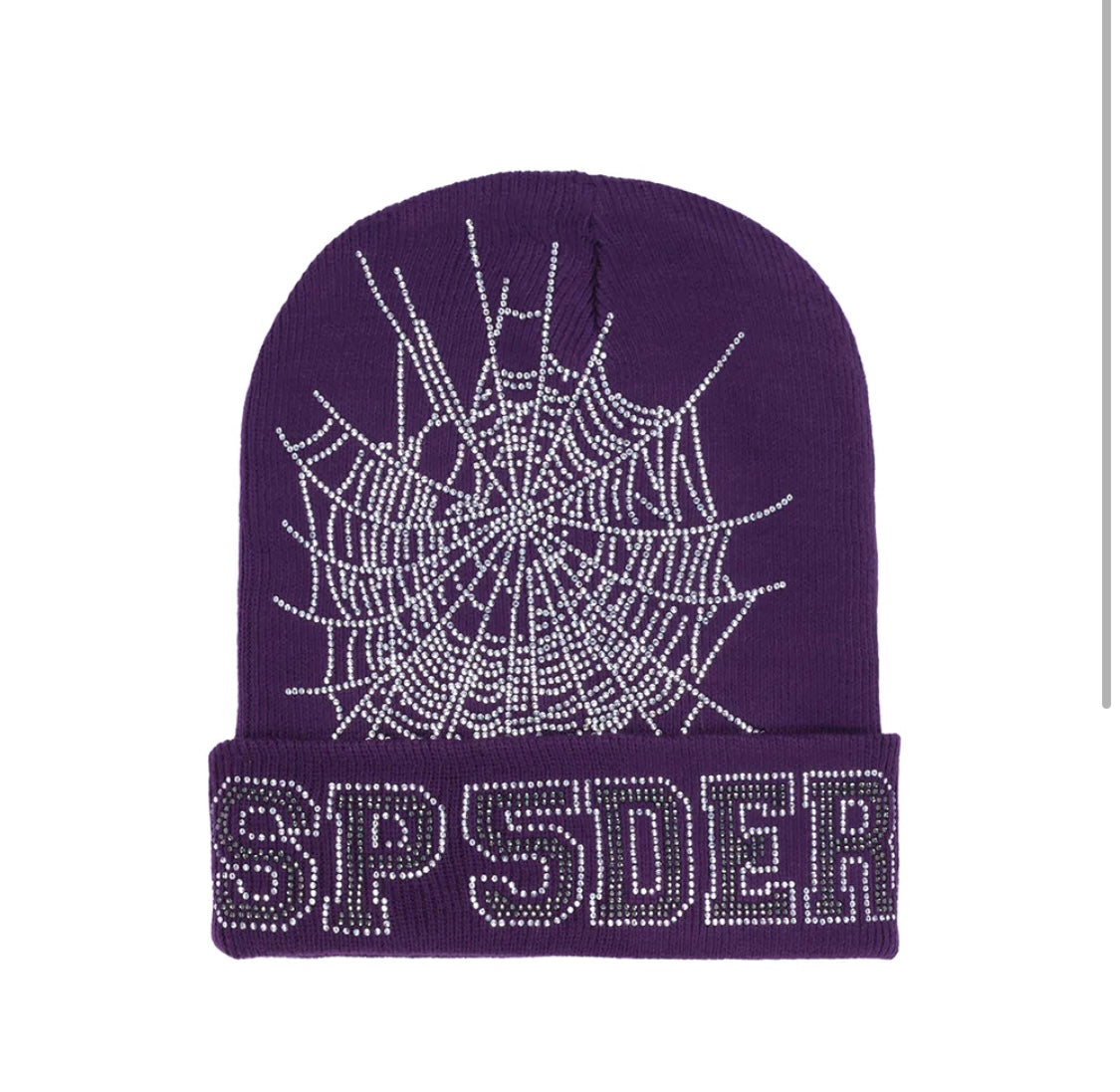 SP5DER Web Beanie